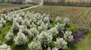 Bursa böyleydi böyle oldu