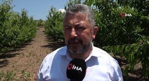 Karadeniz olması gerekenden sıcak