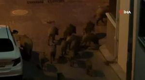 Narin’in tabutuna bırakılan duvak yürekleri dağladı