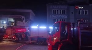 Ahtapot sandı, deniz anası çıktı! Acı içinde koşarak...