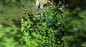 Bursa'da zehir baskınındaki 7 şüpheli adliyede!