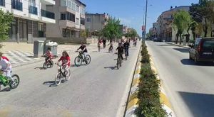 Besiciye yeni ve kuraklığa dayanıklı bir ot; 