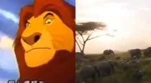 Come Fly With Us (A Some Pokemon-loving dude Crossover) 