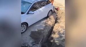 Bursa'da aç kalan domuz sürüsü şehre indi!