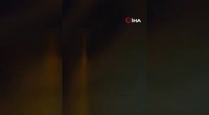 Birçok hastalığa iyi geldiği bilinen kış çayına rağbet arttı