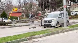 Bursa'da yolun karşısına geçmek isteyen çocuğa ticari taksi çarptı