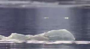 Killer Whales Wave Wash Seal Frozen Planet