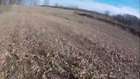 rabit hunting 