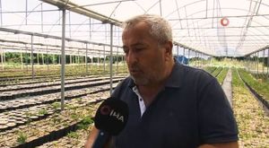 Bursa'da otluk alanda çıkan yangın ormana sıçradı!