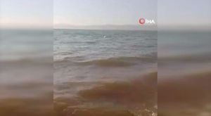 Bursa'da mağarada define faciası! 3 kişinin cansız bedenine ulaşıldı