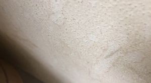 Canlı Yayın - K9KopekEgitimOkulu - 2017-06-08 20:45