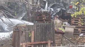 Bursa'da başıboş köpek dehşeti