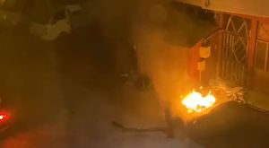 Bursa'da armut ve şeftalide tekleme zamanı geldi