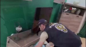 Bursa'da köpeği önce sevdi sonra çaldı