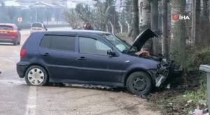 Bursa'da başıboş köpekler küçük çocuğa dehşeti yaşattı!