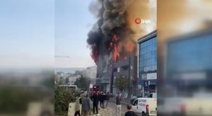 Birçok hastalığa iyi geldiği bilinen kış çayına rağbet arttı