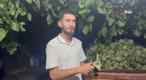 Marmara'da yağışlar şubatta yüzde 46 azaldı! Bursa'da büyük tehlike...