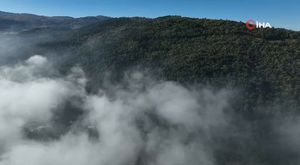 Kına gecesi kana bulandı! Gelin av tüfeğiyle vuruldu...