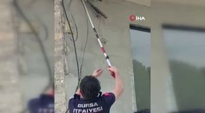 Türkiye'de kişi başına yılda 150 yumurta düşüyor