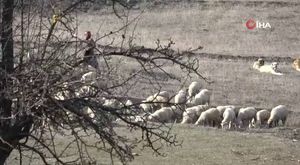 Bursa'da ısınan havalar çocuklara kısıtlamayı unutturdu!