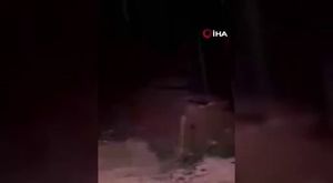 Bursa'da icraya giden avukatın yanağını kopardılar