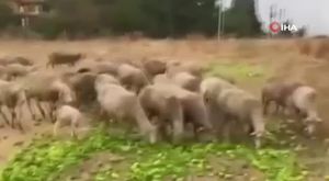 Bursa'da 3 ilçenin kilit noktasında düğüm çözülüyor!