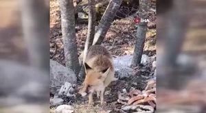 Bursa'da yaz spor okullarına renkli veda