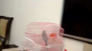 Canlı Yayın - damlauzay - 2016-02-11 17:46