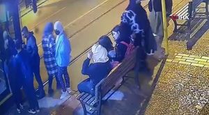 Bursa'da başıboş 10 köpeğin yaşlı kadına saldırması kamerada