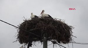 Bursa polisinden yıl başı seferberliği