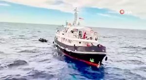 Bursa'da bayram öncesi köpek otellerinde yer kalmadı