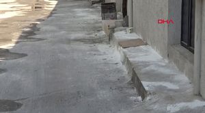 İzmir’de köpeğe işkence anbean kamerada