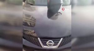 Alçaklar Gara'da böyle imha edildi!