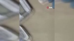 Bursa'da ağaçlık alanda yangın!