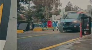 Bursa'da boyundan büyük hayvanlara çobanlık yapıyor