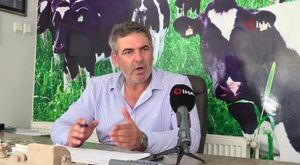 Bursa’da ölü yunus balığı kıyıya vurdu