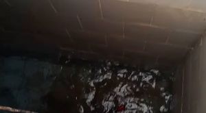 UŞAK MİLLETVEKİLİ İSMAİL GÜNEŞ'İN AKİT TV DE BAHSİ GEÇEN YORUMU