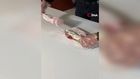 Zehir tacirlerinden akılalmaz yöntem! Bu da oldu, çiğ köfte dürüm içinden çıktı...