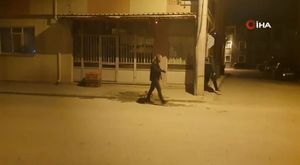 Kontrollü yıkımı film izler gibi izlediler