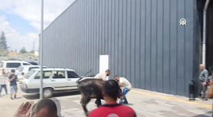 Kozan Kalesi eteklerinde çıkan örtü yangını söndürüldü