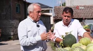 Bursa İznik'te kaçak kazı yapan defineciler göçük altında kaldı: 1 ölü