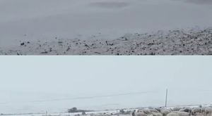 Esnaftan ilginç çözüm: Bozuk para getirene ekmek bedava