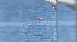 Damada böyle işkence görülmedi...Sabaha kadar eziyet ettiler