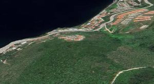 Bursa Uludağ'da yanına gelen tilkiye köfte ikram etti!