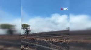 Tarih belli oldu: Bursa’da körfez seferleri başlıyor