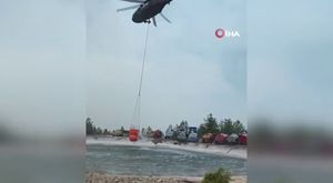 Bursa'da havai fişek atanlara ders gibi ceza: 50'şer ağaç dikecekler