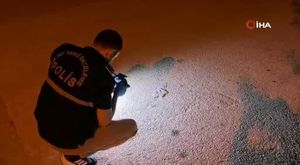 Bursa şeftalisinde hasat başladı