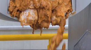 Tavuk Nasıl Üretilir ? 
