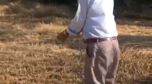 UŞAK MİLLETVEKİLİ İSMAİL GÜNEŞ'İN AKİT TV DE BAHSİ GEÇEN YORUMU