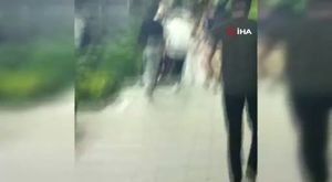 Bursa'da üzerlerine ağaç devrilen 2 kadın yaralandı! -2
